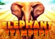 Elephant Stampede